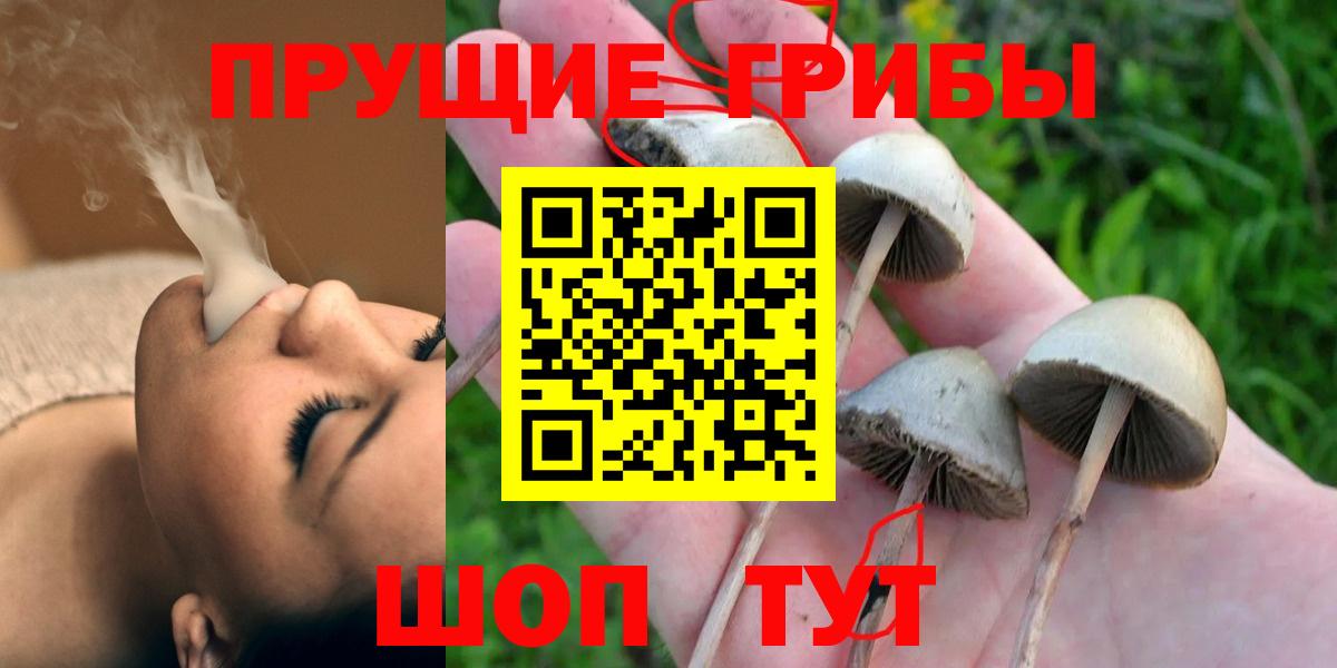 Хасавюрт  Галлюциногенные грибы мицелий  Вход с VPN  Псилоцибиновые грибы прущие грибы 